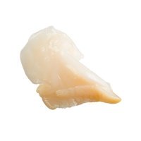 大つぶ貝